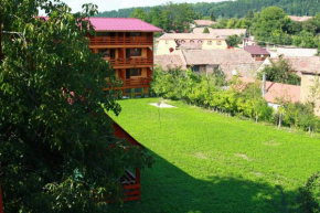Гостиница Casa Bazna  Базна
